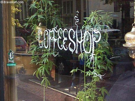 Coffee Shops  Sale California on To Ban Weed Sales To Tourists Amsterdam To Ban Weed Sales To Tourists