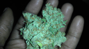 marijuana crystals for real marijuana crystals for real