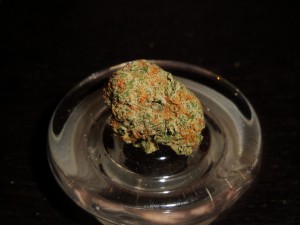 The White Marijuana Strain 8