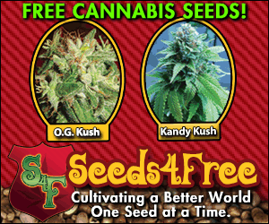 SEEDS FOR FREE