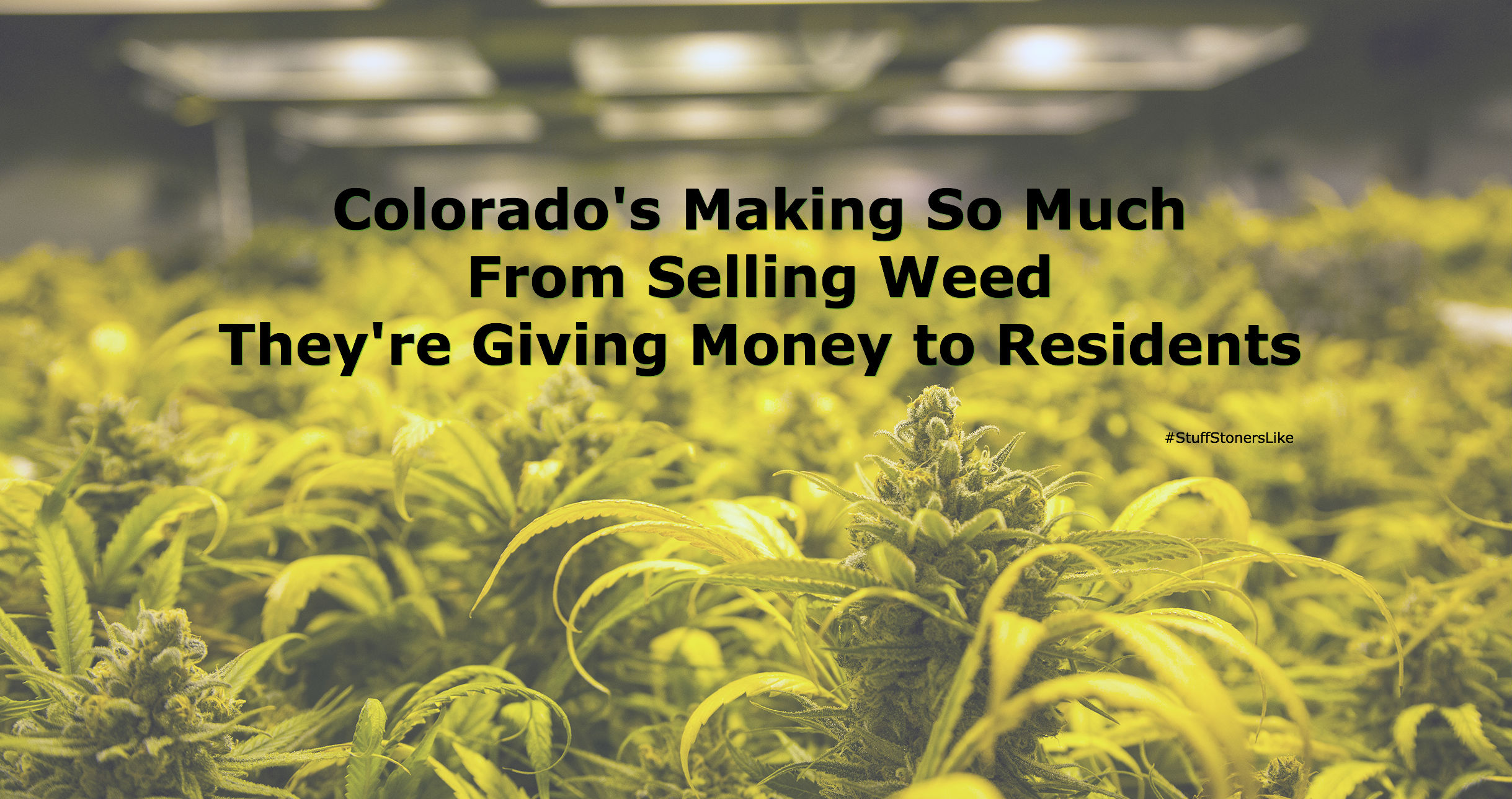 how to make money by selling weed