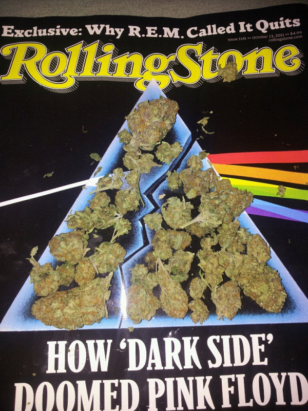 how dark side doomed pink floyd but WEED did NOT