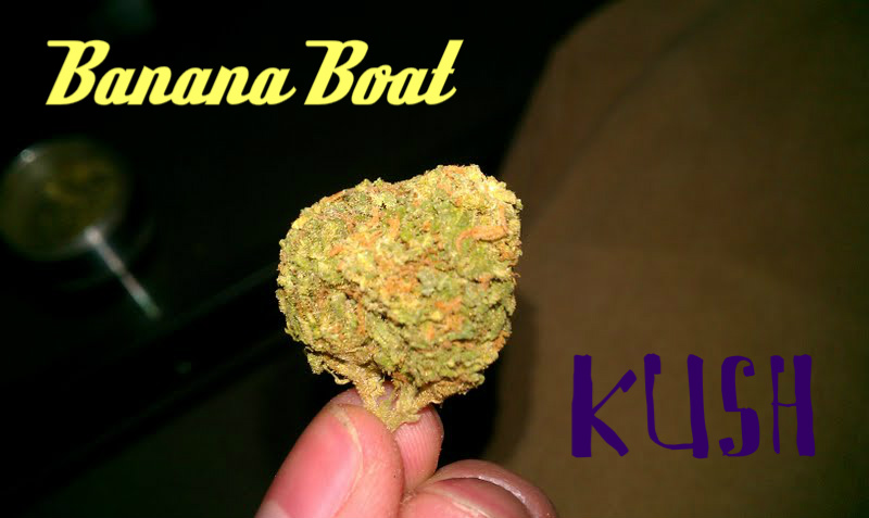 Banana Boat Kush Marijuana Strain