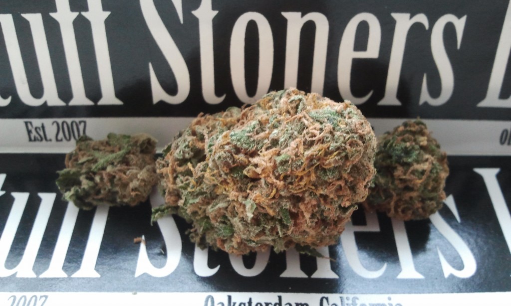 forbidden Marijuana Strain Review