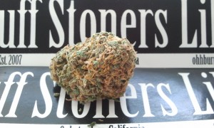 4 forbidden Marijuana Strain Review