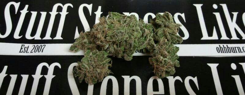 querkle marijuana strain 1