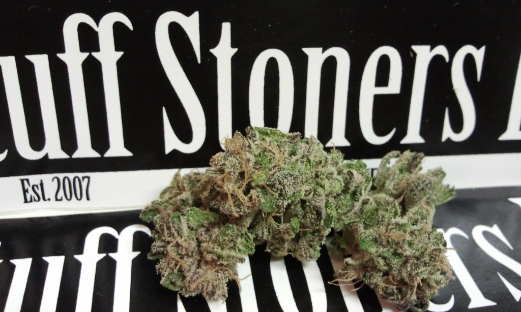 querkle marijuana strain for stuff stoners like again