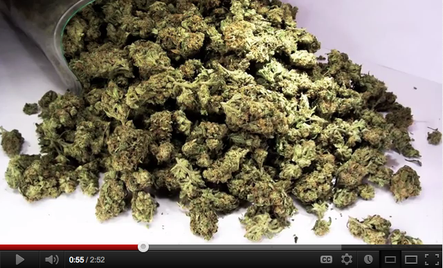 Who's Got the Herb is the STUFF STONERS LIKE VIDEO of the DAY