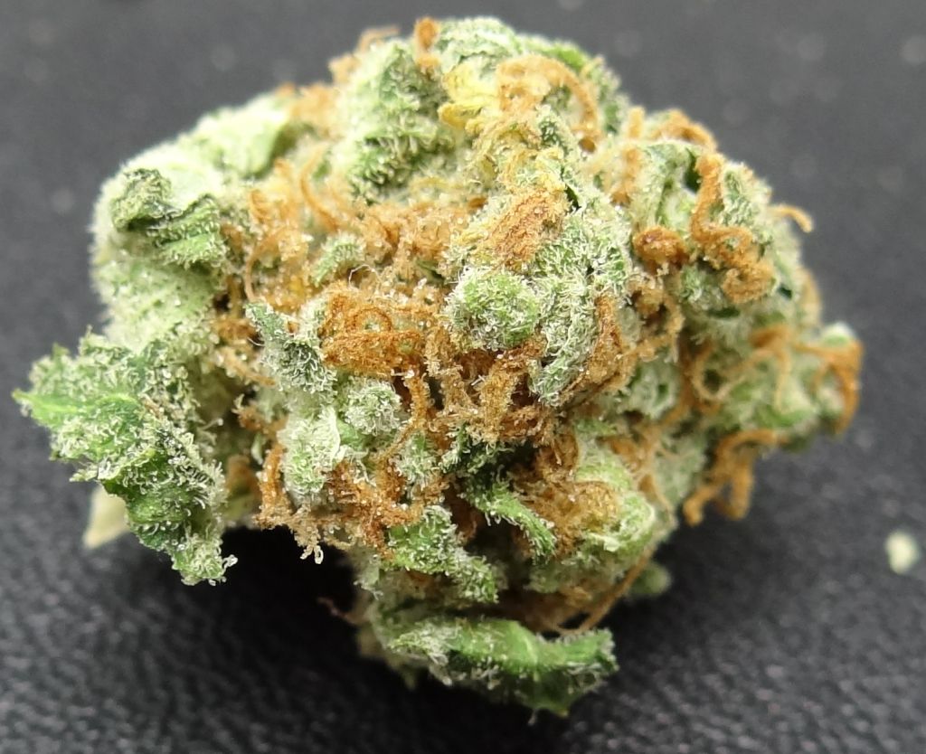 beautiful big bud of marijuana