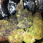 black kush marijuana strain