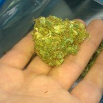 homegrown northern lights marijuana strain