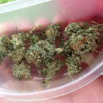 storing weed in plastic containers
