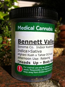 Bennett Valley Kush Medical Cannabis 