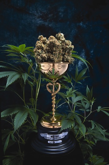 2012 Bay Area High Times Medical Cannabis Cup Winners announced