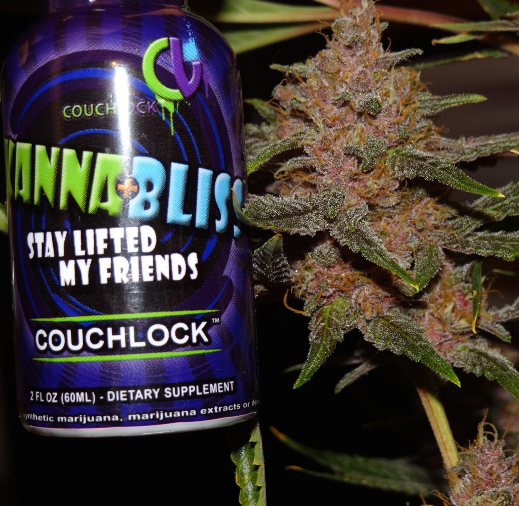 CouchLock Review