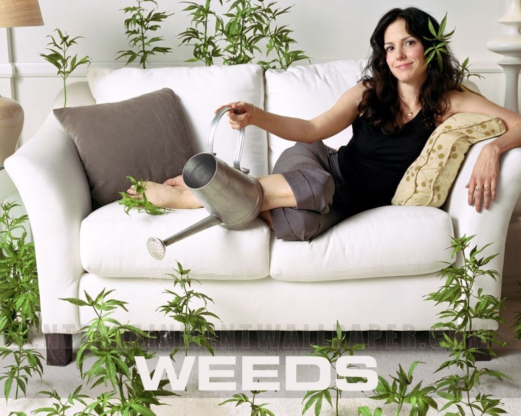 Showtime's Weeds Cancelled