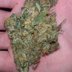 ingredient to a good day marijuana
