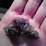 strawberry KUSH marijuana strain