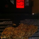 giant nugs on a scale