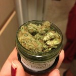 kandy medical marijuana strain