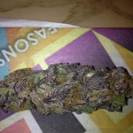 purple alien OG marijuana strain