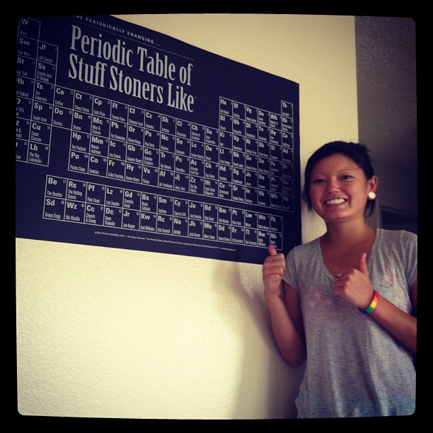 tokinasian and her periodic table of stuff stoners like poster make a cute pair