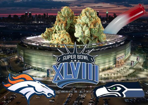 NFL: A Super Bowl of Marijuana May Cure Our Concussion Crisis 1