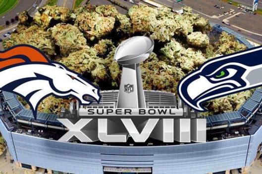 NFL: Super Bowl of Marijuana May Cure Our Concussion Crisis 2
