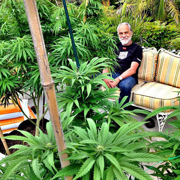 Tommy Chong Grows Weed