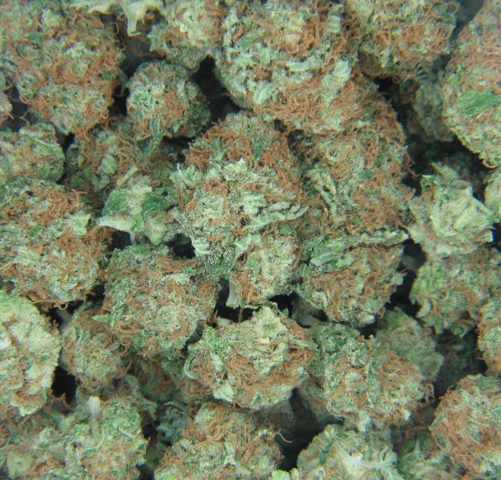 How Much Marijuana Does Colorado Sell