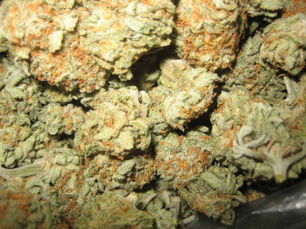 How Much Marijuana Does Colorado Sell