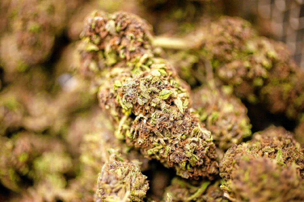Washington Recreational Marijuana Sales Begin Tomorrow