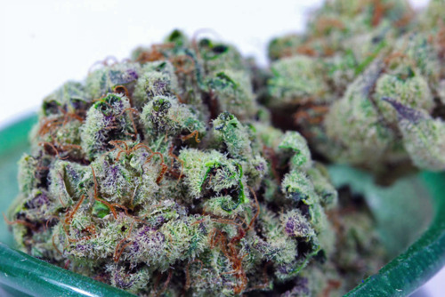 List of Recreational Marijuana Dispensaries in Oregon State