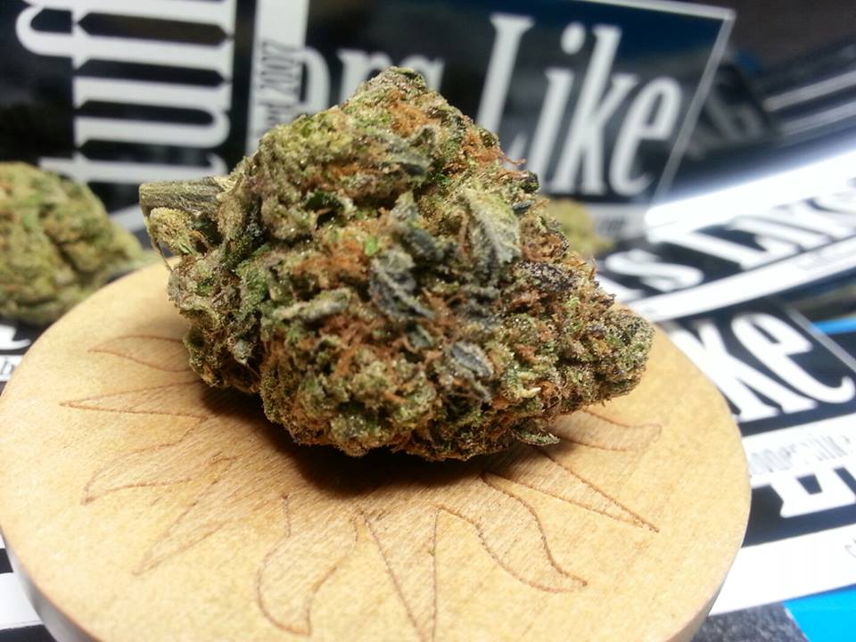 Cookie Stomper Strain Review