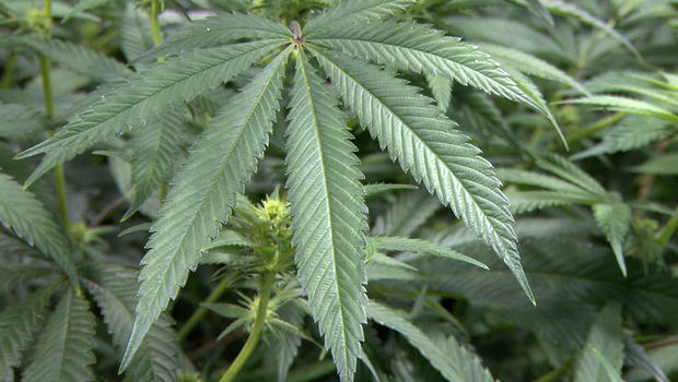 Massachusetts Begins 2016 Marijuana Legalization