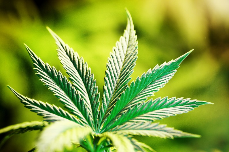 Missouri Marijuana Legalization