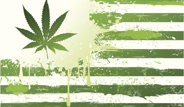 Which States Will Legalize Marijuana Next? 