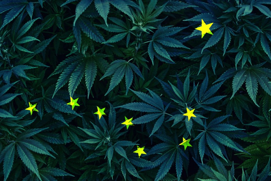 Alaska marijuana