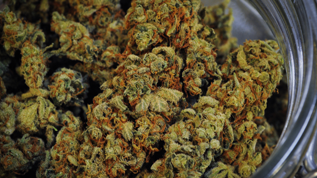 Washington DC Legalizes Weed