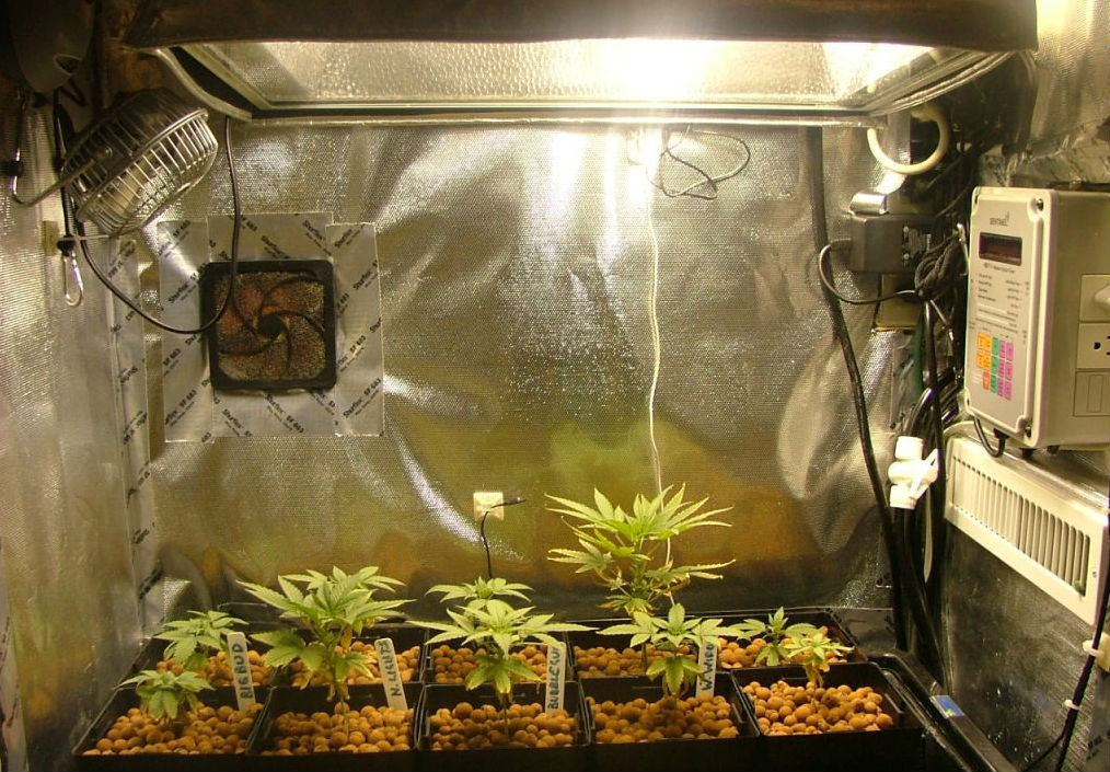grow cabinet