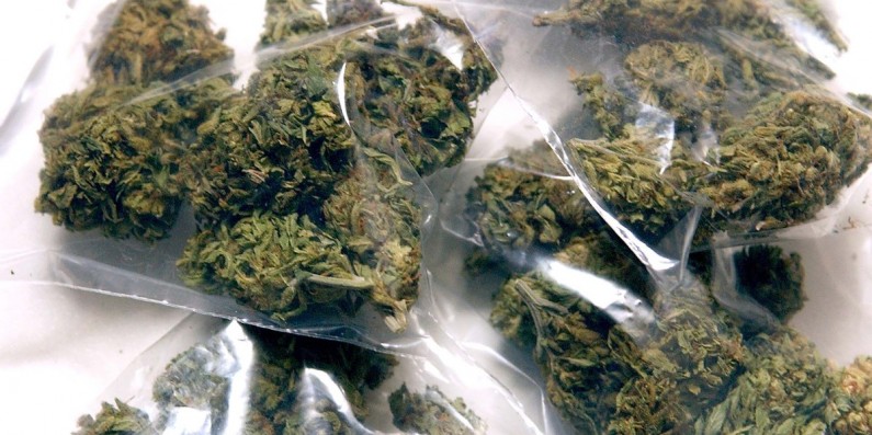 Medical Marijuana Legalization Bill Introduced in Congress