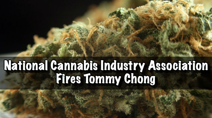National Cannabis Industry Association Fires Tommy Chong