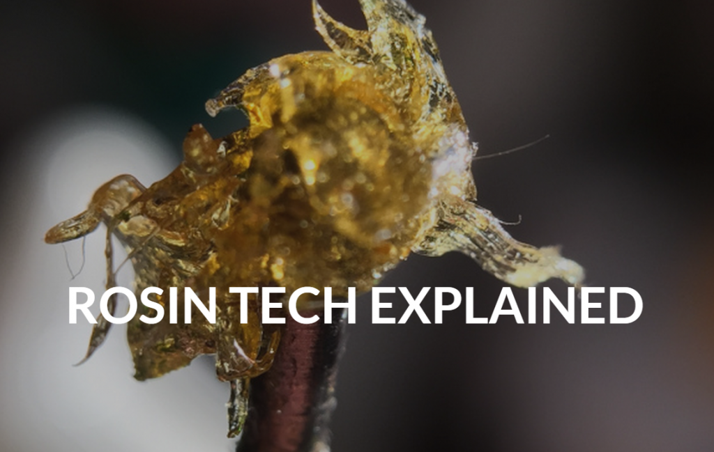 Rosin Tech Explained