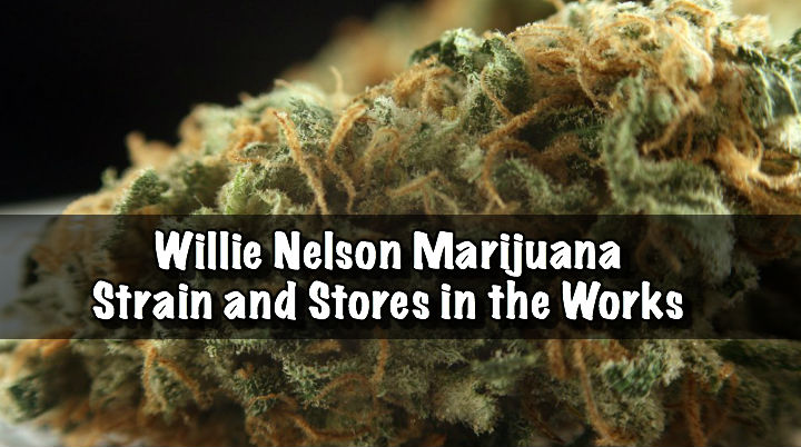 Willie Nelson Marijuana Strain and Stores in the Works