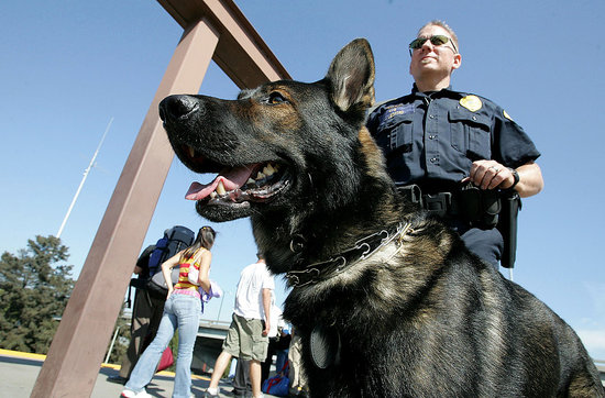 Holding Motorists on Highway to Await Drug Dog Searches Not OK, Supreme Court Rules