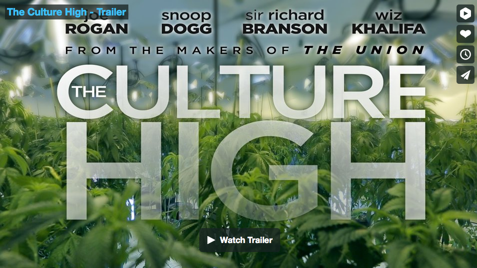 The Culture High Movie