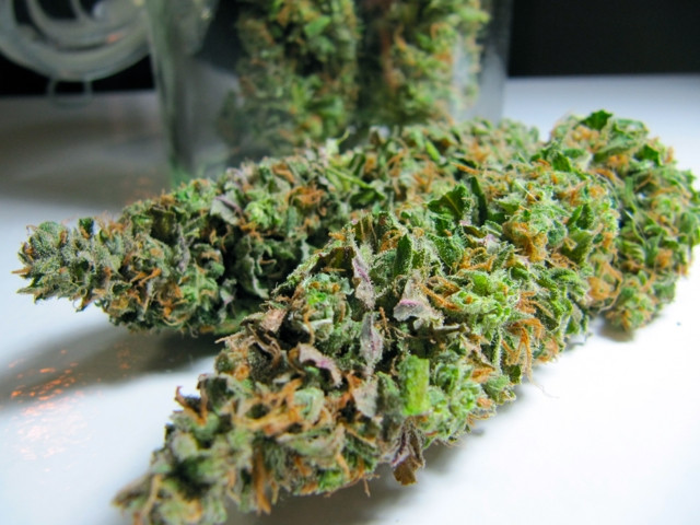 Vancouver May Crackdown On Medical Marijuana Dispensaries