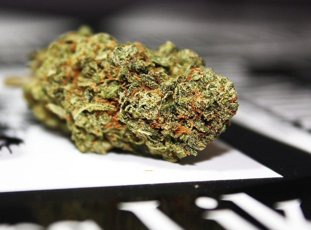 Red Dragon Strain review STUFF STONERS LIKE