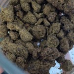 Caviar at the Cannabis Cup