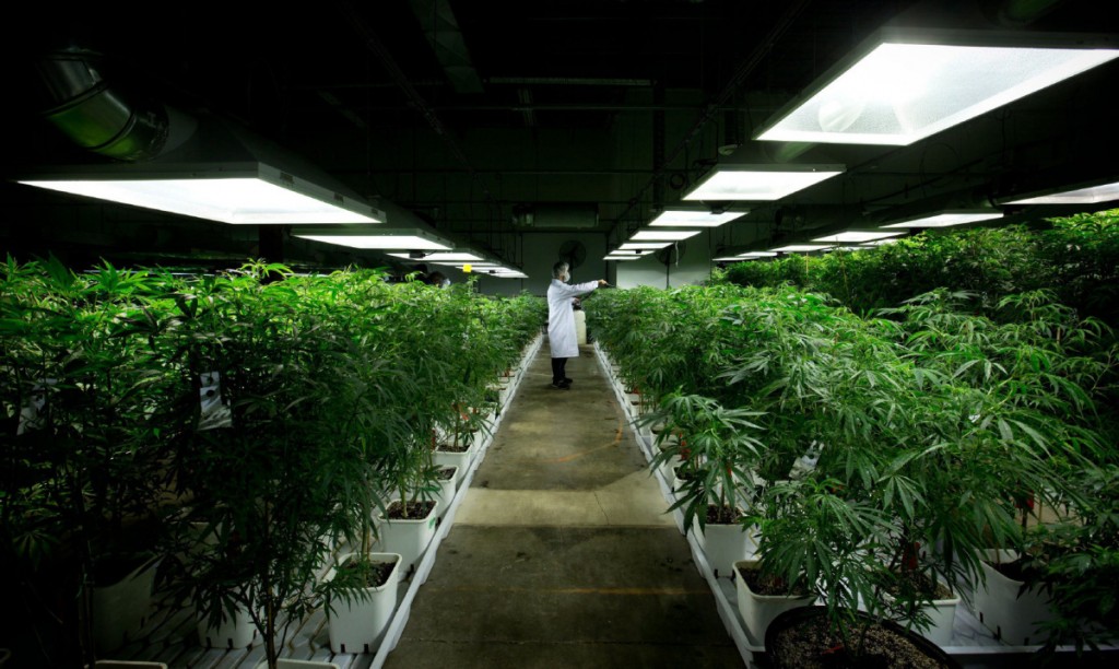 Oregon Recreational Marijuana Tax